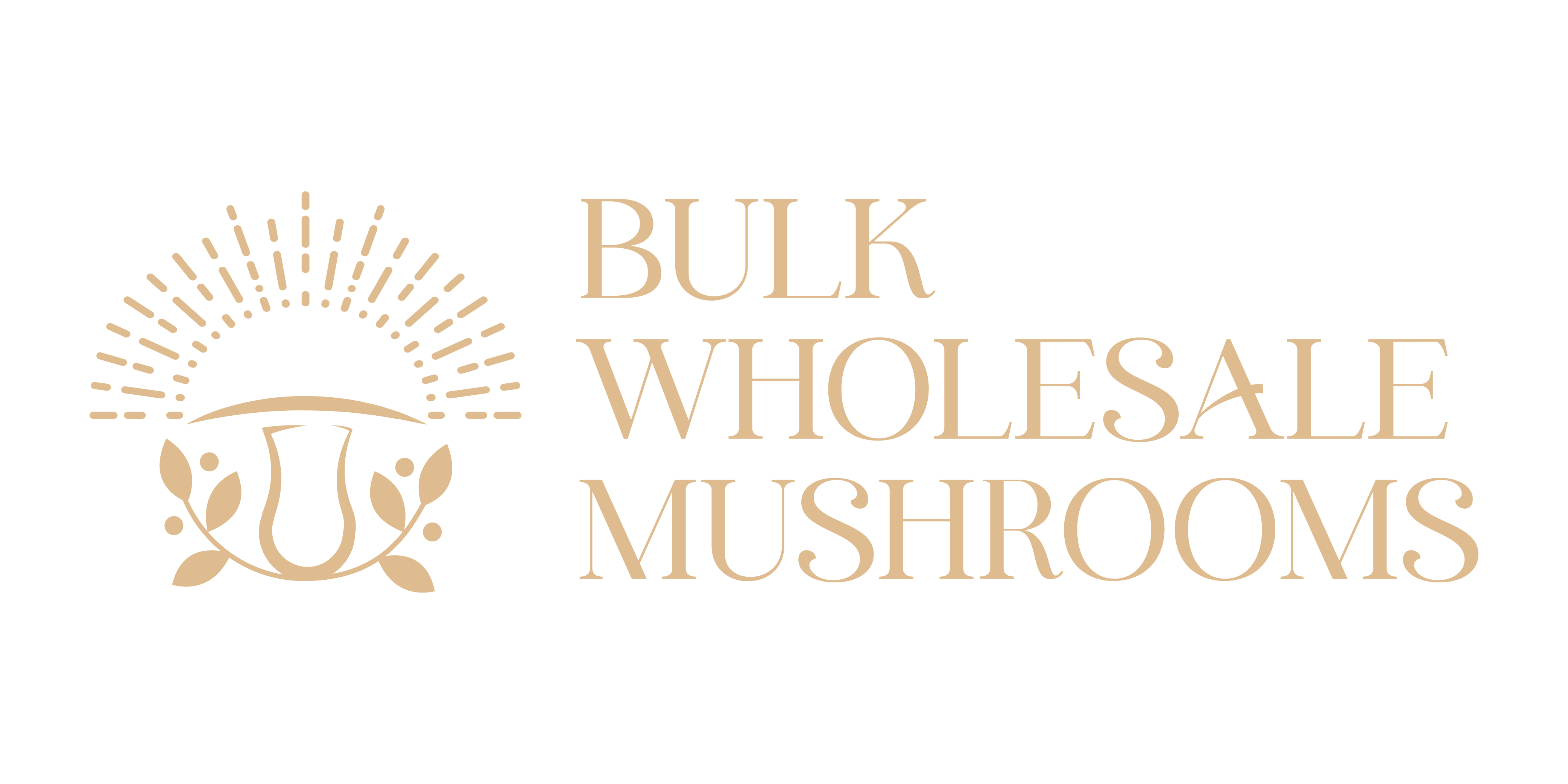 Bulk Wholesale Mushrooms