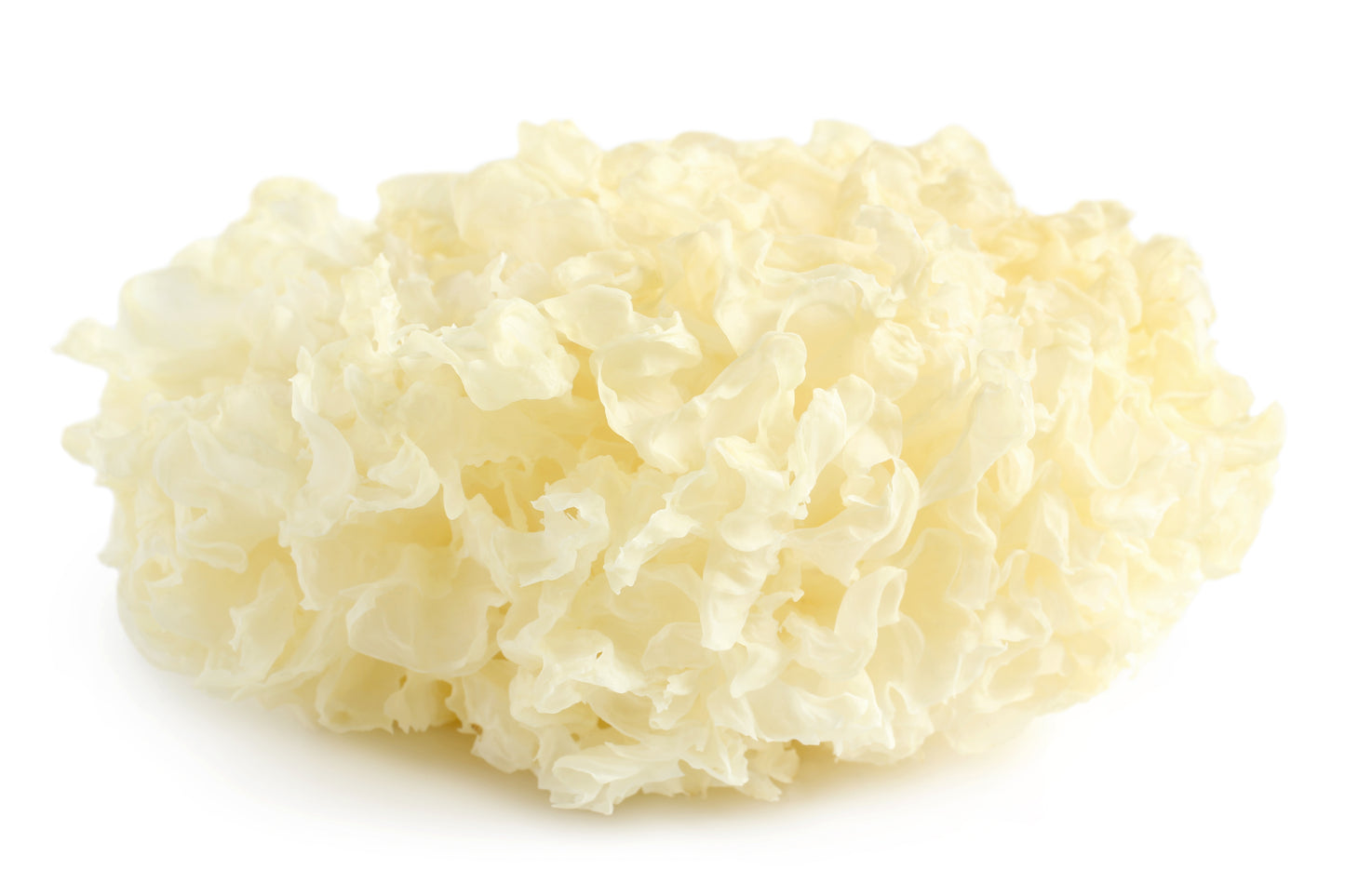 Tremella Bulk Tincture