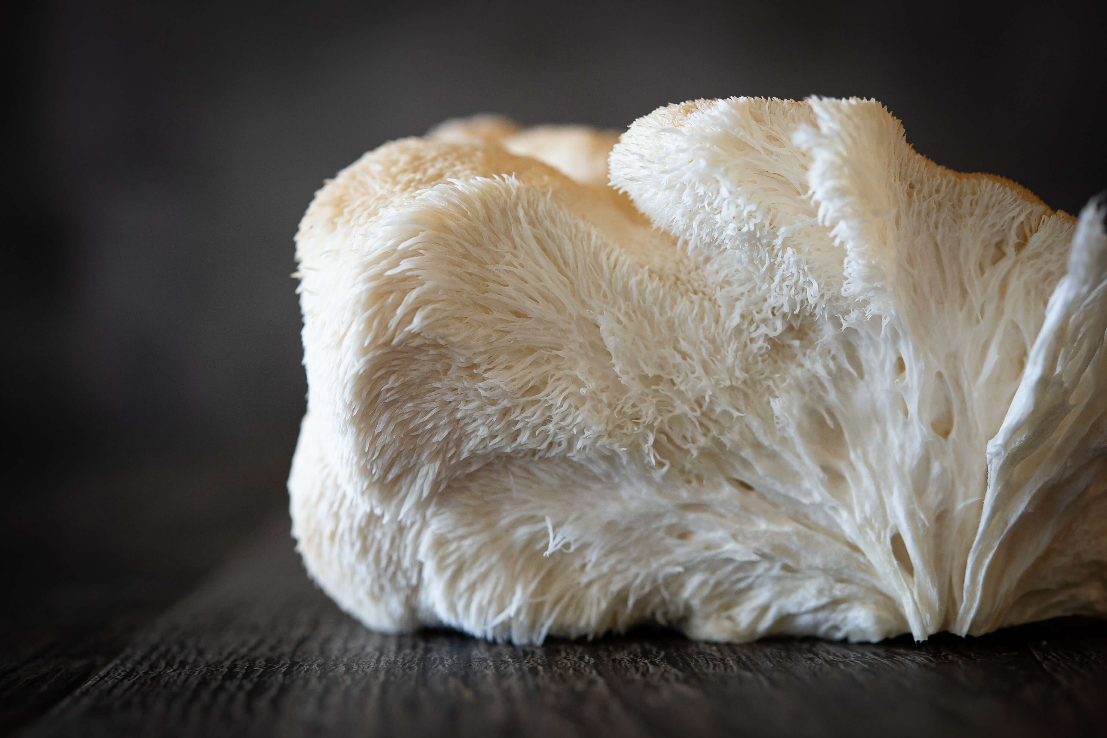 Explore Wholesale fake mushroom Options Available For You