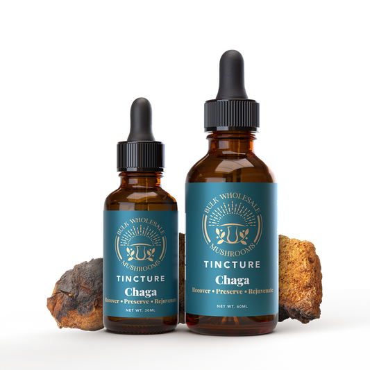 Pre-Bottled Chaga Extract